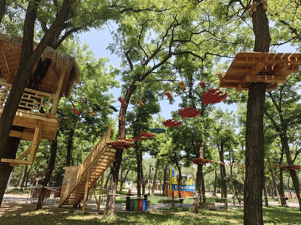 大城山城市山地公园特色主题丛林体验基地建成